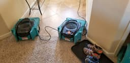 Preventing Mold with Proper Carpet Drying Dry Fast, Stay Mold-Free!