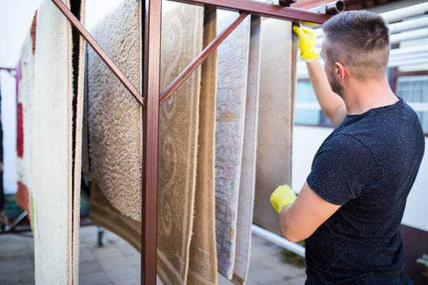 DIY vs Professional Carpet Drying: Which Works Best Article Thumbnail